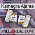 Kamagra Ajanta 12